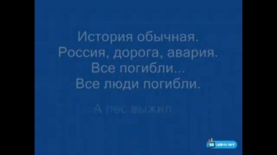 Пёс, научивший нас верности