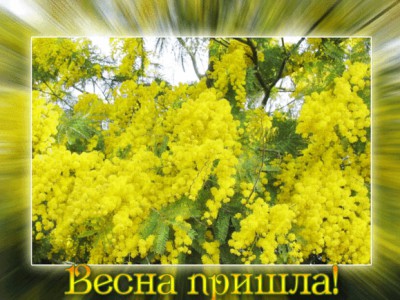 Весна пришла...