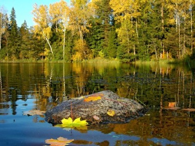 Ян Подорожный "Подайте мне осень"