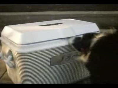 Реклама пива