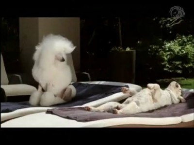 Она с ним только ради печенья