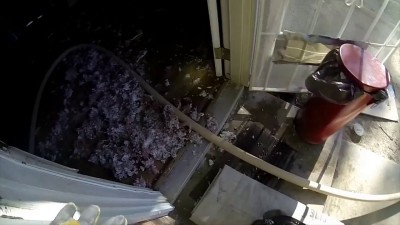 Спасение котенка