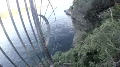 GoPro: Man Fights Off Great White Shark In Sydney Harbour