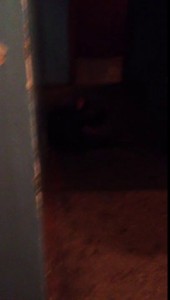 Сила притяжения