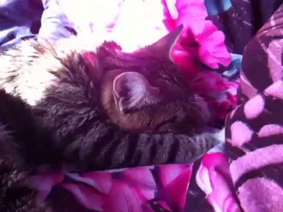 доброе утро