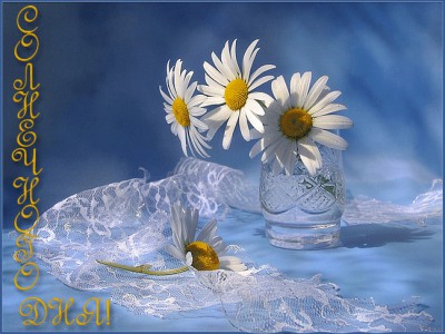 Добрый день!