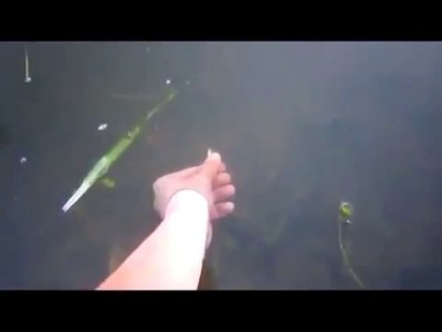 Поймал рыбу рукой