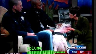 Телеведущей отгрызли часть лица в прямом эфире