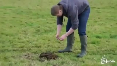 Бомба Из Навоза