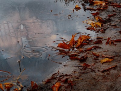 Осенний дождь.