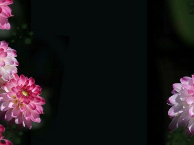 Добро Пожаловать!!!