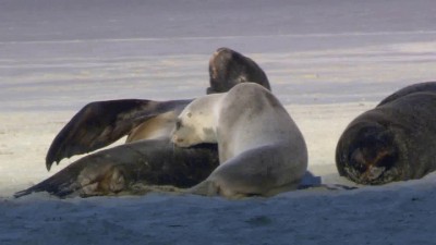 живая природа