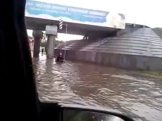 собака помогает хозяину