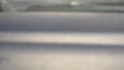 Как мы медведя кормили