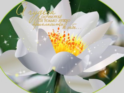 А чудеса случаются!