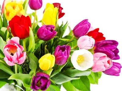 Весна пора любви.