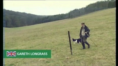 Редко встречаетесь? - Пёс вам в помощь! (Round up your mates for a GUINNESS on St Patrick's Day)
