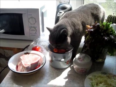 моя любовь - моя морковь)