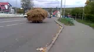  Такое бывает только в РОССИИ