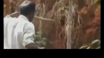 Змеелов доигрался