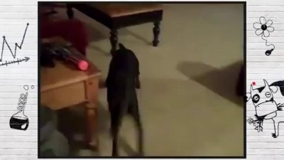 едем на дачу