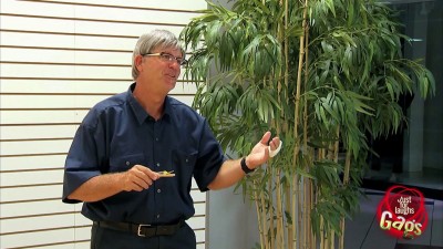 Gags Just for laughs Of Mice And Women - Scary Mouse Prank