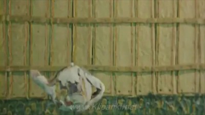 Пластилиновая ворона