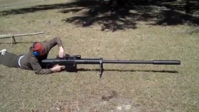 Что за винтовка?