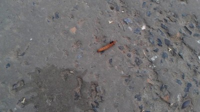 У меня, это...ноги... а мне домой!