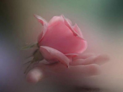 Хочу я в сказку