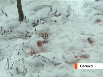 В Сегеже убили подростка