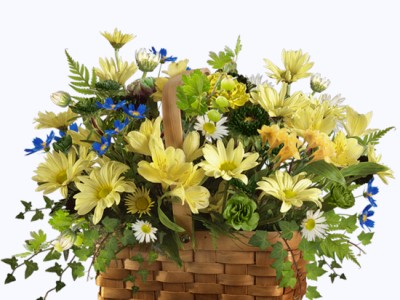 Жёлтые цветы