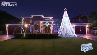 Украсил дом