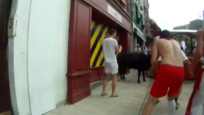 Fêtes de Bayonne 2014 And the winner is, vache 1 selfie 0