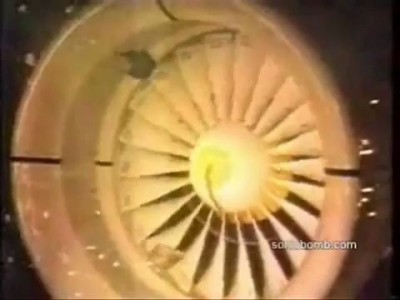 BIRD VS. JET ENGINE (In Super-Slow-Motion)