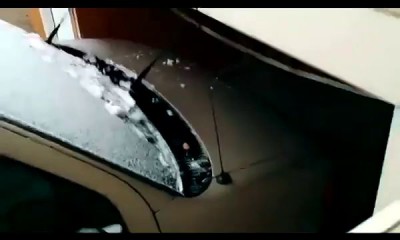 кот не допрыгнул