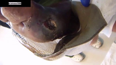 Давненько ног не мыл ...