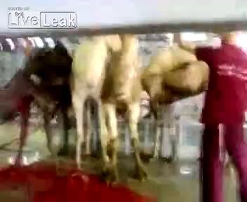 аллах в баре