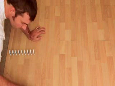 Кот и домино