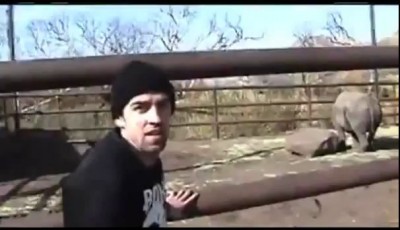 Родео на носороге!!!!!!!