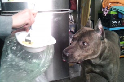 Культурно празднуем масленицу))