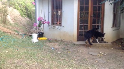 Внезапно испугался...