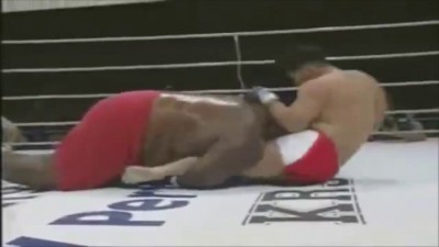 бои без правил