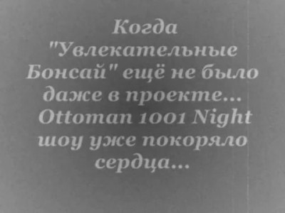 Страстная турецкая ночь. Горячий танец