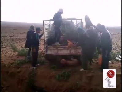 Общая могила ...