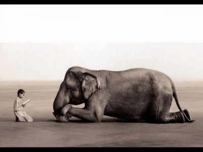 MICHEL PEPE--Le Mantra Du Coeur