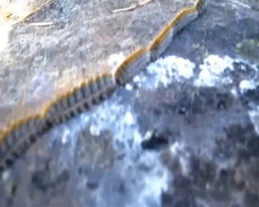 Праздник к нам приходит