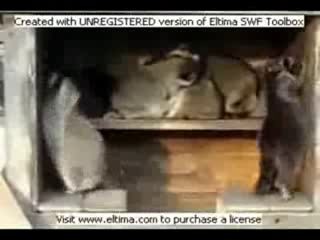 Выдают пареньки!