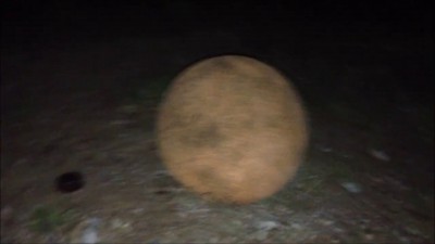 Пацаны облучены