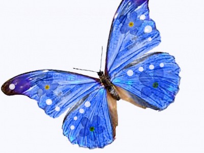 Добрый день